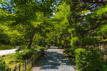 Wall Mural - 宮城松島 円通寺 初夏の境内風景