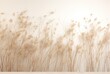 dried grass vlaming from a white wall