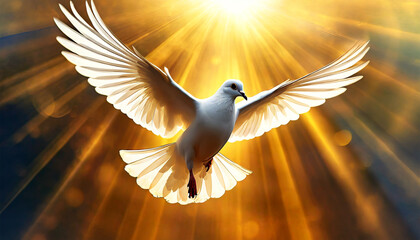 A white dove flying against golden sunbeams at sunset or sunrise. Religious symbol of purity, innocence and peace.