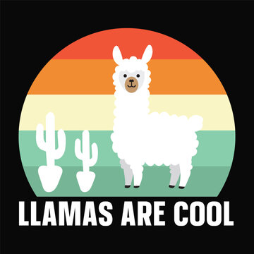 Stylish , fashionable  and awesome llama typography art and illustrator