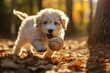 Puppy as it engages with a ball toy, creating a heartwarming scene