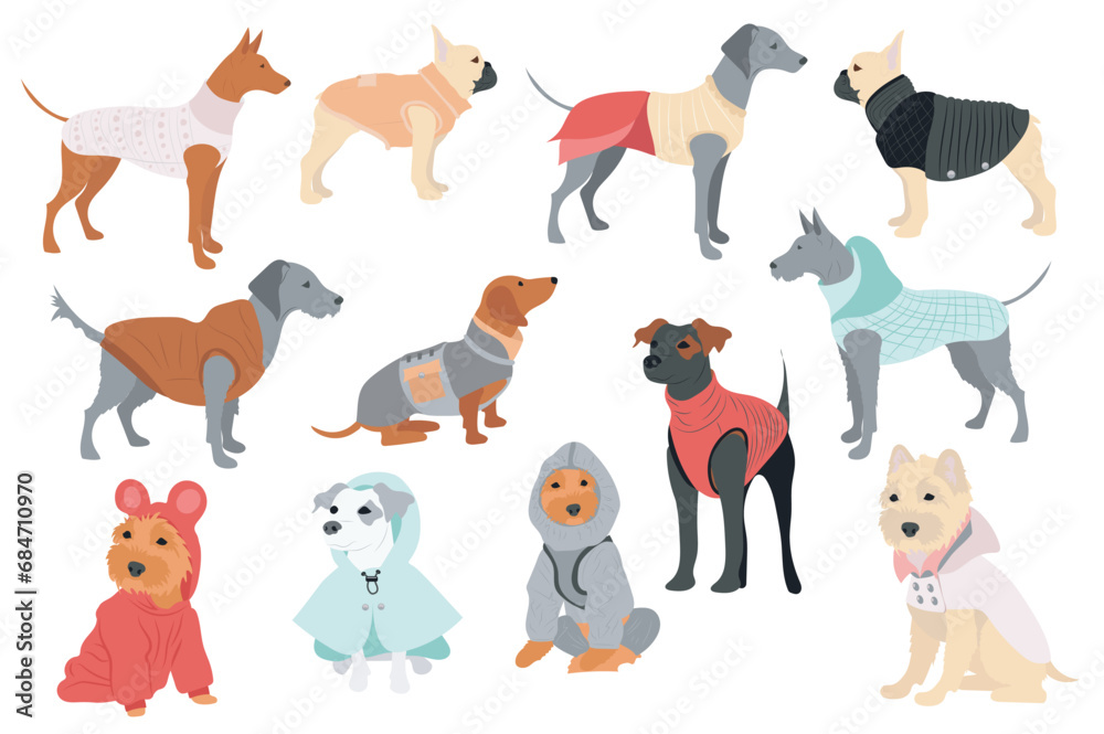 Cute dogs in canine clothes mega set in flat design. Bundle elements of ...