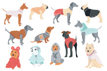 Cute Dogs In Canine Clothes Mega Set In Flat Design. Bundle Elements Of Different Breeds Puppies In Funny Winter Coats, Warm Sweaters And Other Outfits. Vector Illustration Isolated Graphic Objects