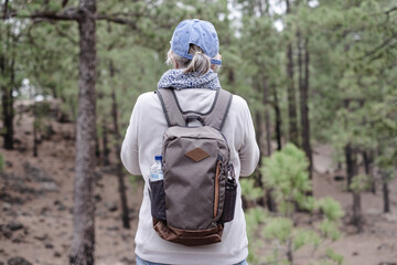 Wall Mural - Back view of mature woman holding backpack standing in the pine forest admiring the landscape enjoying nature and adventure. Sport and healthy lifestyle concept