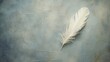 A lone feather delicately placed on a textured background, representing lightness and grace.