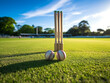 A vibrant cricket pitch with perfectly aligned stumps, ready for an exciting match to begin.