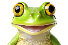 Funny Happy Green Frog Smiling Head Portrait Isolated On Transparent Background