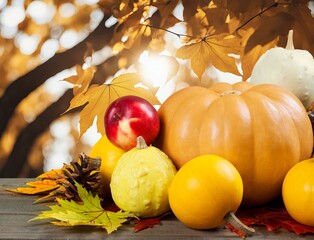 Sticker - Thanksgiving day background with pumpkin decoration