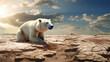 Polar bear in the desert extinction Climate change