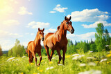 Fototapeta Konie - Two horses in spring in the field