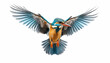 Kingfisher Elevation Front View

