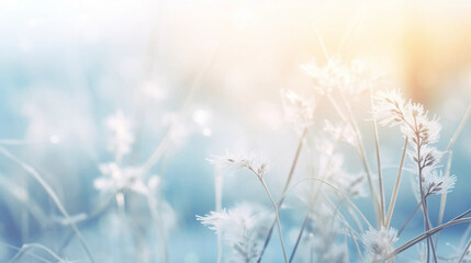 Wall Mural - Copy space, stockphoto, Beautiful gentle winter landscape, frozen grass on snowy natural background. Winter background with flowers covered snow crystals glittering in sunlight. Defocused winter lands