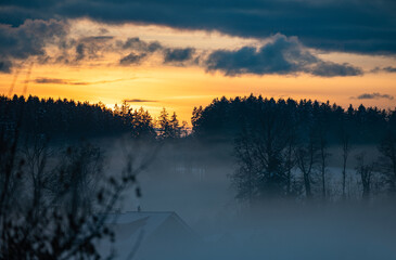 Wall Mural - Beautiful sunset with fog and tree silhouette, first snow