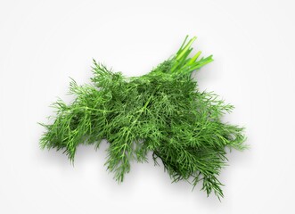 Wall Mural - Coriander fresh ripe green leaf