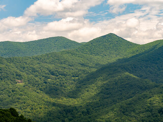 Smoky Mountains, Appalachian Mountains, Beautiful Landscape of Trees and Sky During Summer in the Eastern United States 10