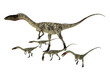 Coelophysis Dinosaur with Young - Coelophysis was a bipedal predatory dinosaur that lived during the Triassic Period of North America.