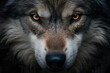 A close up of a wolf with detailed yellow eyes