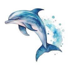 Watercolor Dolphin Isolated On White Background. Hand-drawn Illustration.