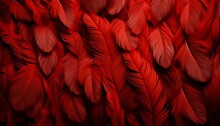 Detailed Red Feathers Texture Background  Digital Art With Elaborate Feathers Of Large Birds