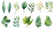 Watercolor Tropical Leaves Bouquets for Wedding Invitations AI Generated