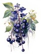 Mystical Watercolor Nightshade Plant with Dark Berries and Detailed Leaves AI Generated