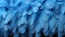 Blue Feather Texture Background Detailed Digital Art Of Large Bird Feathers In Vibrant Blue Shades