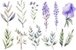 Watercolor lavender set. Hand drawn vector illustration. Isolated on white background. Generative AI