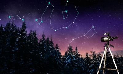 Wall Mural - Different constellations in starry sky over conifer forest at night. Stargazing with telescope