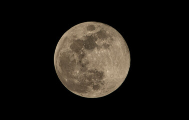 Wall Mural - super full moon in the night sky, closeup of photo.