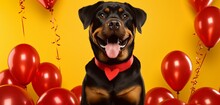 A Rottweiler Adorned With A Red Tie, Surrounded By Heart-shaped Balloons And Streamers Against A Solid Yellow Background, Enjoying Valentine's Day Festivities.