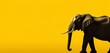 Asian elephant silhouette on solid yellow background with copy space.