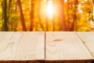 Canvas Print - The empty wooden table for display at autumn forest.