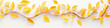 yellow leaves on a white background 3d drawing.