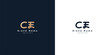 CE Logo design in Chinese letters