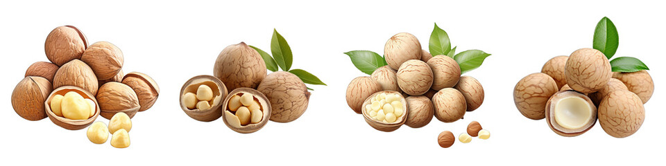 Sticker - Macadamia nuts Hyperrealistic Highly Detailed Isolated On Transparent Background Png File