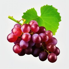 Sticker - fresh grape cluster with leaves