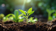 © AA - green plant HD 8K wallpaper Stock Photographic Image