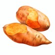 Generative AI image of a Orange Sweet Potato Detailed watercolor