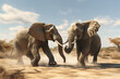 Male elephants fight each other