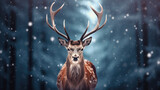Fototapeta Do pokoju - Noble deer in winter forest. Autumn scene with reindeer. Snowy winter christmas landscape