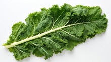 Fresh Vegetables For Health Concept, Kale Leaf On White Background 