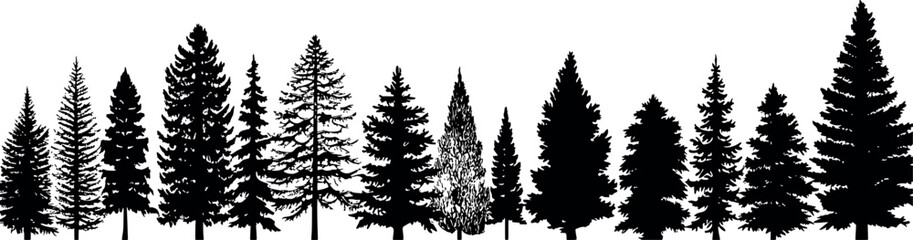 Poster - Fir trees silhouettes set on transparent background. Coniferous spruce in a horizontal arrangement. Generative AI