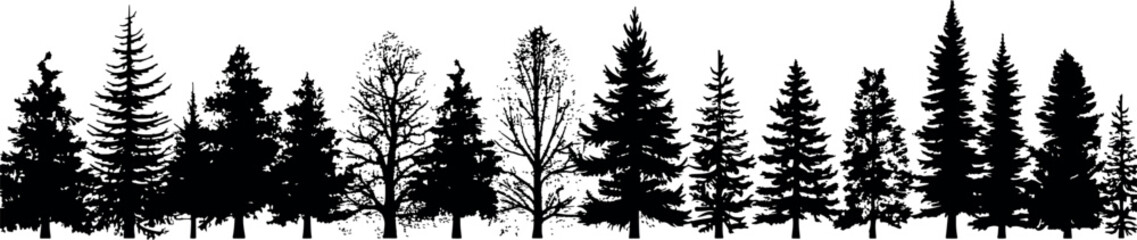 Poster - Set of coniferous spruce trees silhouettes, forming a horizontal pattern on a transparent background. Generative AI