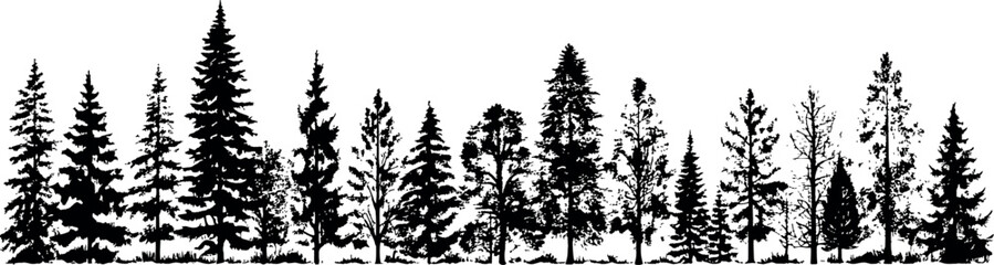 Poster - Set of horizontal silhouettes of coniferous spruce trees on a transparent background. Elegant fir tree shapes ready to enhance any design. Generative AI