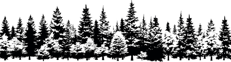 Poster - Set of horizontal silhouettes of coniferous spruce fir trees, portrayed on a transparent background. Generative AI