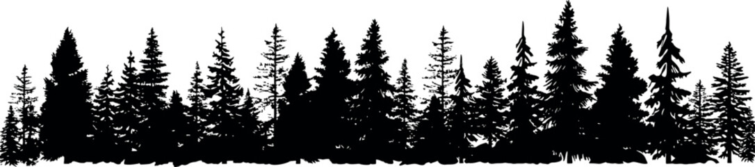 Poster - A horizontal set of silhouettes depicting coniferous fir trees on a transparent background, showcasing their distinctive spruce-like appearance. Generative AI