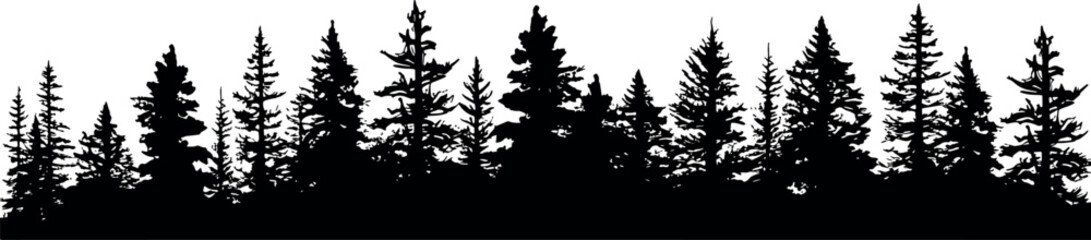 Poster - A collection of horizontal silhouettes featuring coniferous spruce trees on a transparent background. The set showcases the elegant forms of fir trees. Generative AI