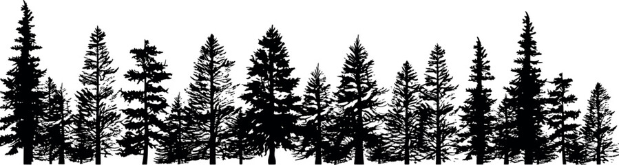 Poster - Set of horizontal coniferous fir tree silhouettes on a transparent background. Generative AI