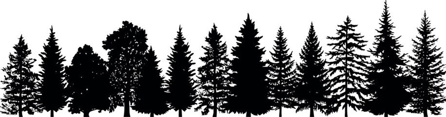 Poster - A set of horizontal silhouettes featuring coniferous spruce fir trees, gracefully standing tall against a transparent background. Generative AI