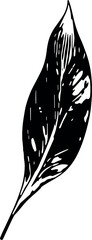 Poster - Tropical palm leaves in a vector format, showcasing elegant silhouettes on a transparent backdrop. Generative AI